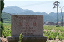 南宋6座皇陵仅埋葬地下2米 原因和岳飞有关