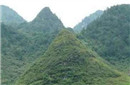 朱元璋破坏他人墓葬风水 300年后遭到后人报复