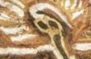 外星人尸体竟然在2000年前就已藏在金字塔中? 