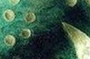 惊天谜团：揭开德国3600年历史的星象盘之谜