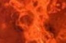 惊天发现！火星第三大火山竟然曾为宜居地