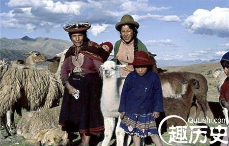 土豆1.jpg