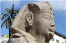 新发现！狮身人面像已有80万年历史