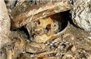 揭秘神秘玛雅古墓：女统治者头骨在碗中