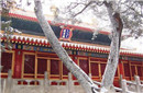 慈禧身边的宫女揭秘 她过新年时要拜三尊“邪”神