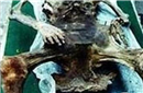 简直逆天！千年女尸死前 曾在古墓中产下活婴