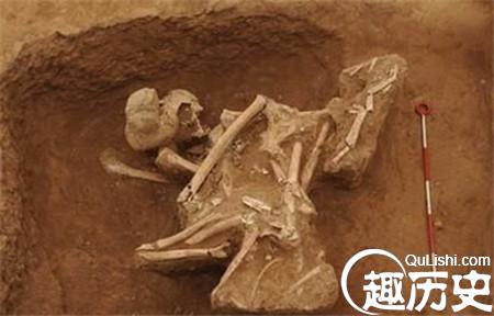 3A115559432_副本.jpg