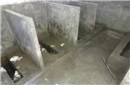 内急不用厕所?揭秘古代皇帝是如何方便的