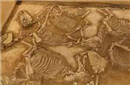 古代的殉葬制度：活人守墓如同“活死人”一般