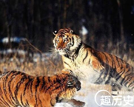 QQ截图20171225160320.jpg