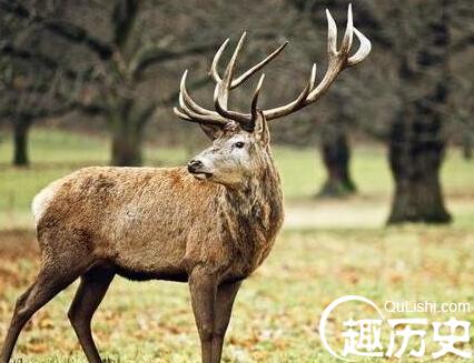 QQ截图20171228141710.jpg
