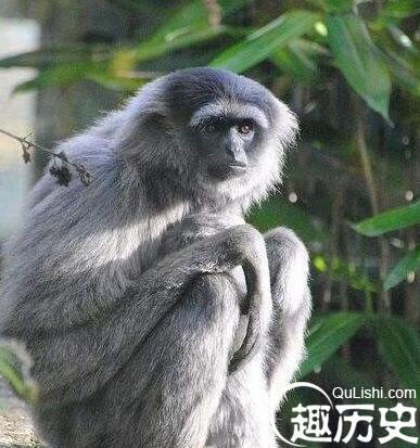QQ截图20171228141635.jpg