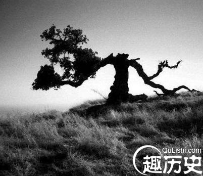 QQ截图20171228170228.jpg