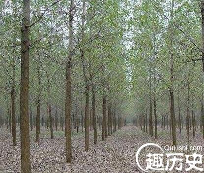 QQ截图20171228170244.jpg