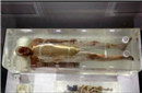 古代第一美男潘安古尸容貌复原图 远超出想象