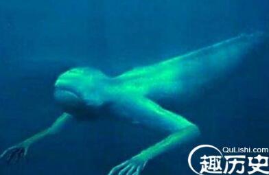 ningen，隐藏在南极冰川下的神秘怪物，外星人还是纳粹武器