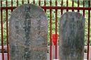 诸葛亮墓千年无人敢盗 坟上的大树很是奇怪！