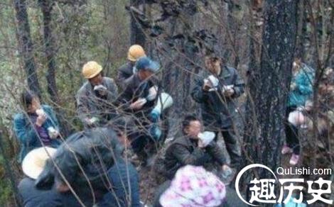 QQ截图20180102103643.jpg