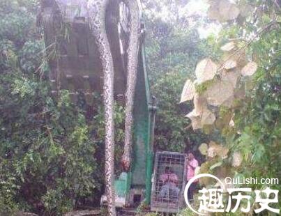 QQ截图20180102103549.jpg